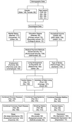 Post-stroke fatigue and its correlation with family functioning in patients who have experienced a first episode of stroke